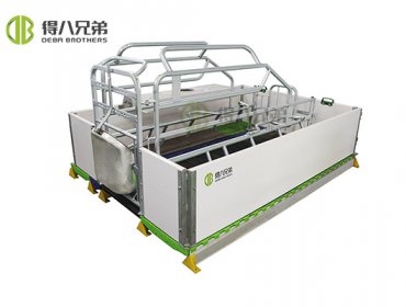 Classic  Farrowing Crate 1001