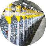 Auto Feeding System
