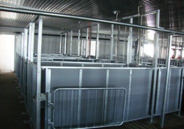 case_3