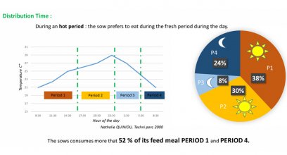 Materneo-automatic meal distribution system