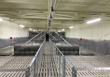 pig farm project Anhui