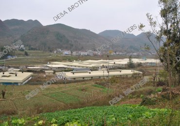 pig farm project Sichuan
