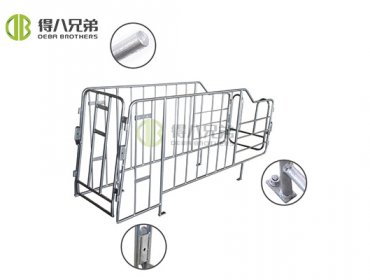 Gestation Stall