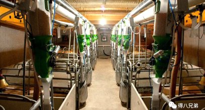The Deba Brother × Anshan Materneo Automatic Feeding Line Project