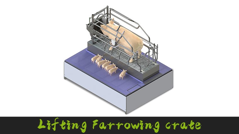 The Deba Brother × Binzhou Lifting Farrowing crate Project