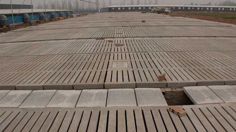 Enhancing Pig Comfort and Health with Deba Brothers® Innovative Pig Flooring Solutions