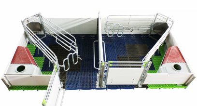 Deba Brothers® Welsafe Farrowing Crate: Championing Animal Welfare and Piglet Survival