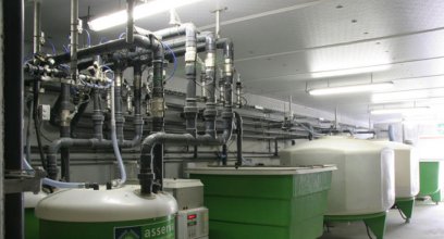  Liquid Feeding System Revolutionizing the Pig Industry: A Game-Changer for Pig Farms