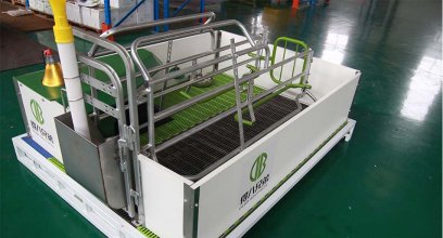 Introducing European Style Farrowing Crate: Enhancing Animal Welfare and Efficiency