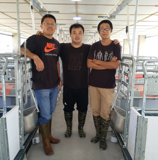 Reconstruction and extension project