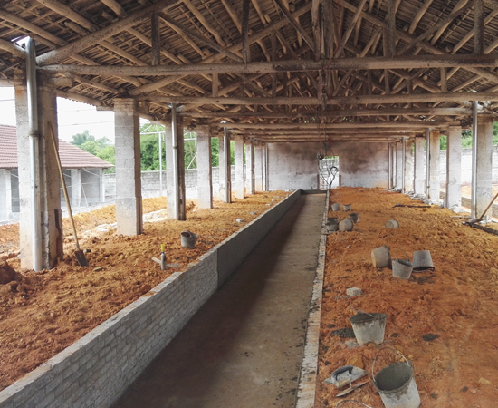 Reconstruction and extension project