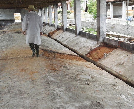 Reconstruction and extension project