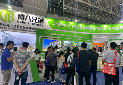 Qingdao Exhibition 